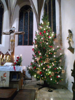 Weihnachtsbaum in Kirche 
