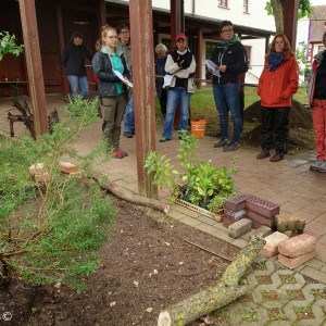 Workshop Naturnahe Flächengestaltung - Mai 2024